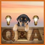 Dog Rescue Greece 05 FAQ