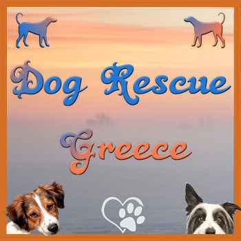 Dog Rescue Greece logo new