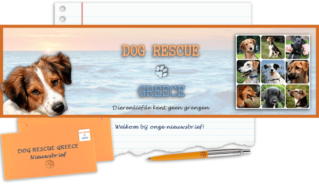 Nieuwsbrief van Dog Rescue Greece archief
