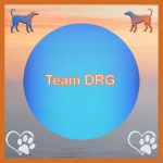 DRG De Stichting 2 Team DRG