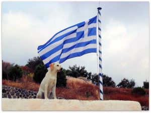 Overdenking aanschaf Hond Griekse vlag
