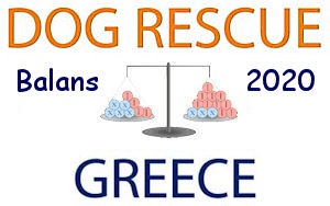 Dog Rescue Greece jaarstukken Balans 2020