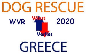 Dog Rescue Greece jaarstukken WVR 2020