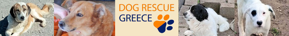 Dog Rescue Greece