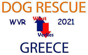 Dog Rescue Greece jaarstukken Resultaat 2021