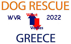 Dog Rescue Greece jaarstukken Resultaat 2022