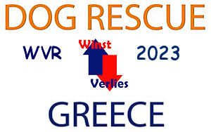 Dog Rescue Greece jaarstukken Resultaat 2023