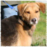 Teefje Alicia 00 pro 02